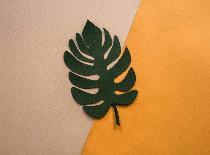 HarbourFold Origami Studio 11